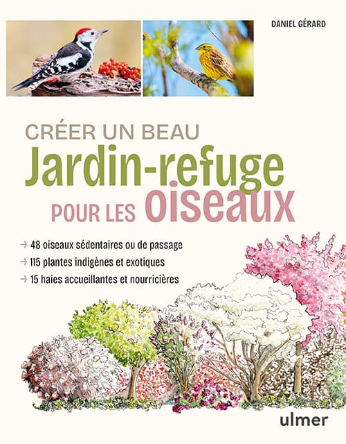 Créer un beau jardin-refuge pour les oiseaux